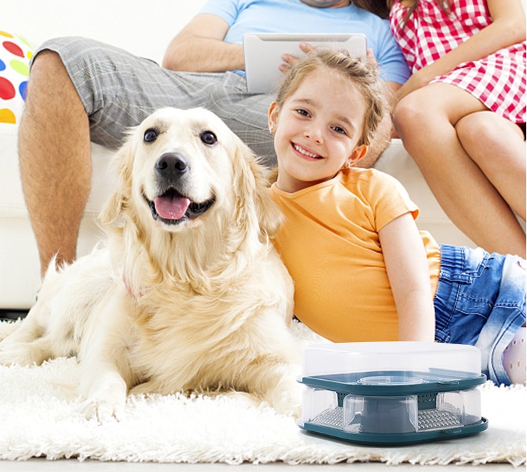 Reusable Bugs Trap Box Cockroach Trap Catching Roaches Tool Drop-proof Wear-resistance No Peculiar Smell Automatic Bugs Catcher - Image 2